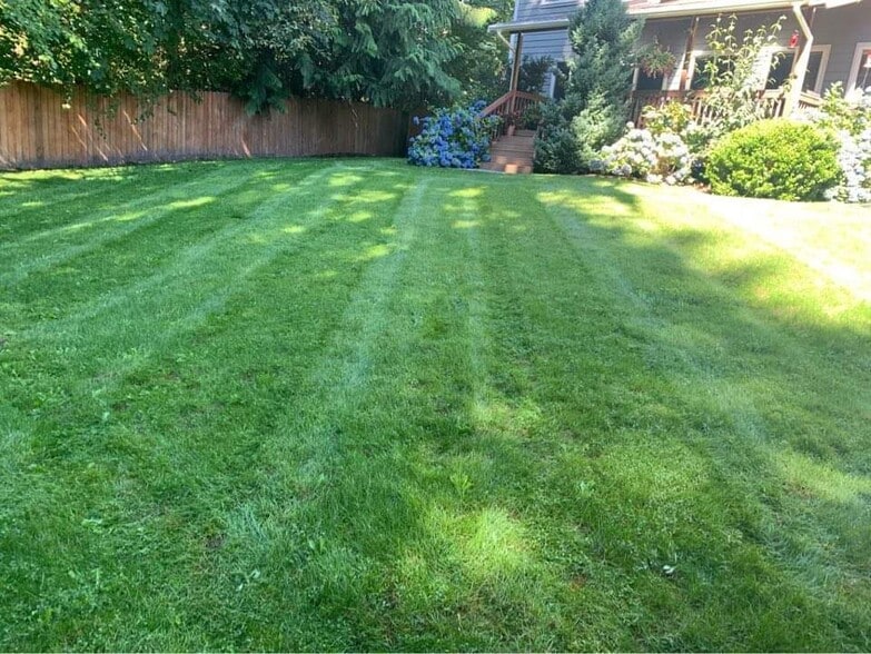 Back yard - 4811 Rural Rd SW