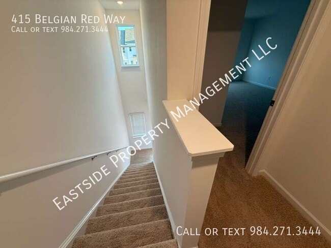 Building Photo - 415 Belgian Red Wy