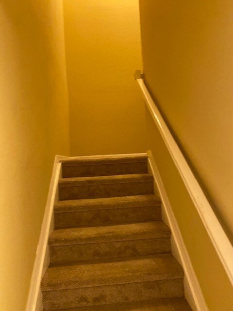 Building Photo - 9419 Ivy Brook Run