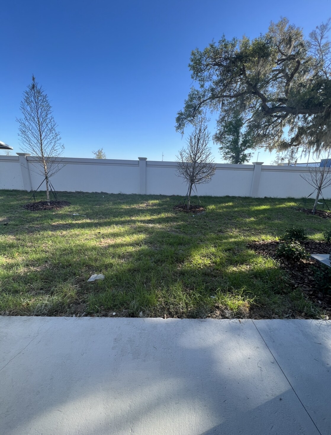 Back view - 5247 Dragonfly Dr