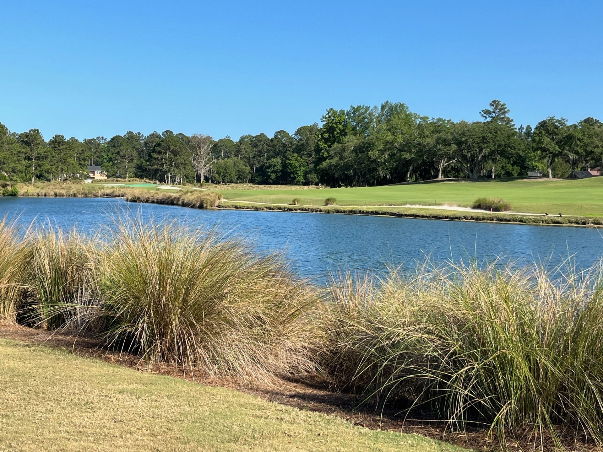King & Bear Golf Course - 100 Laterra Links Cir