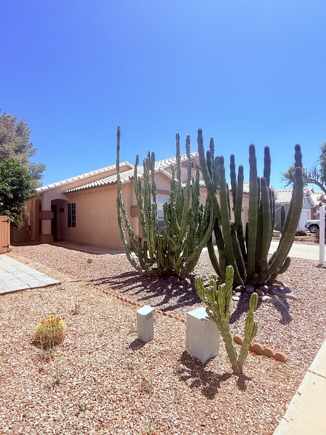 Building Photo - 9102 N Safflower Ln