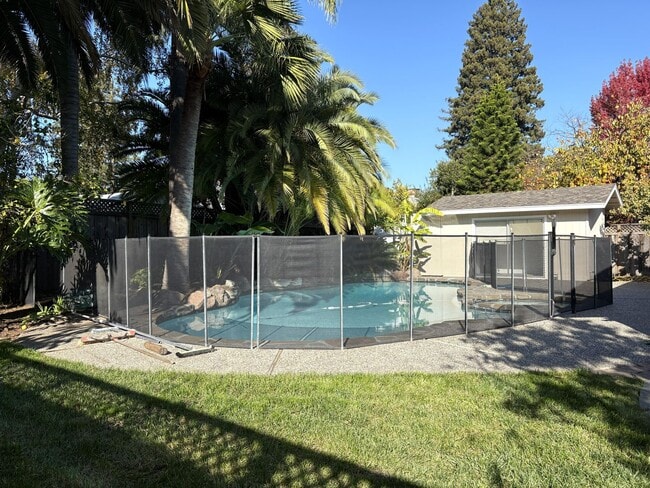 Building Photo - Beautiful Palo Alto Home with In-Law Suite, Central AC & Heated Pool