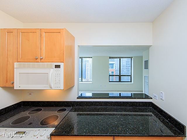 Building Photo - 1 br, 1.5 bath  - 400 N La Salle Dr Apt 2005