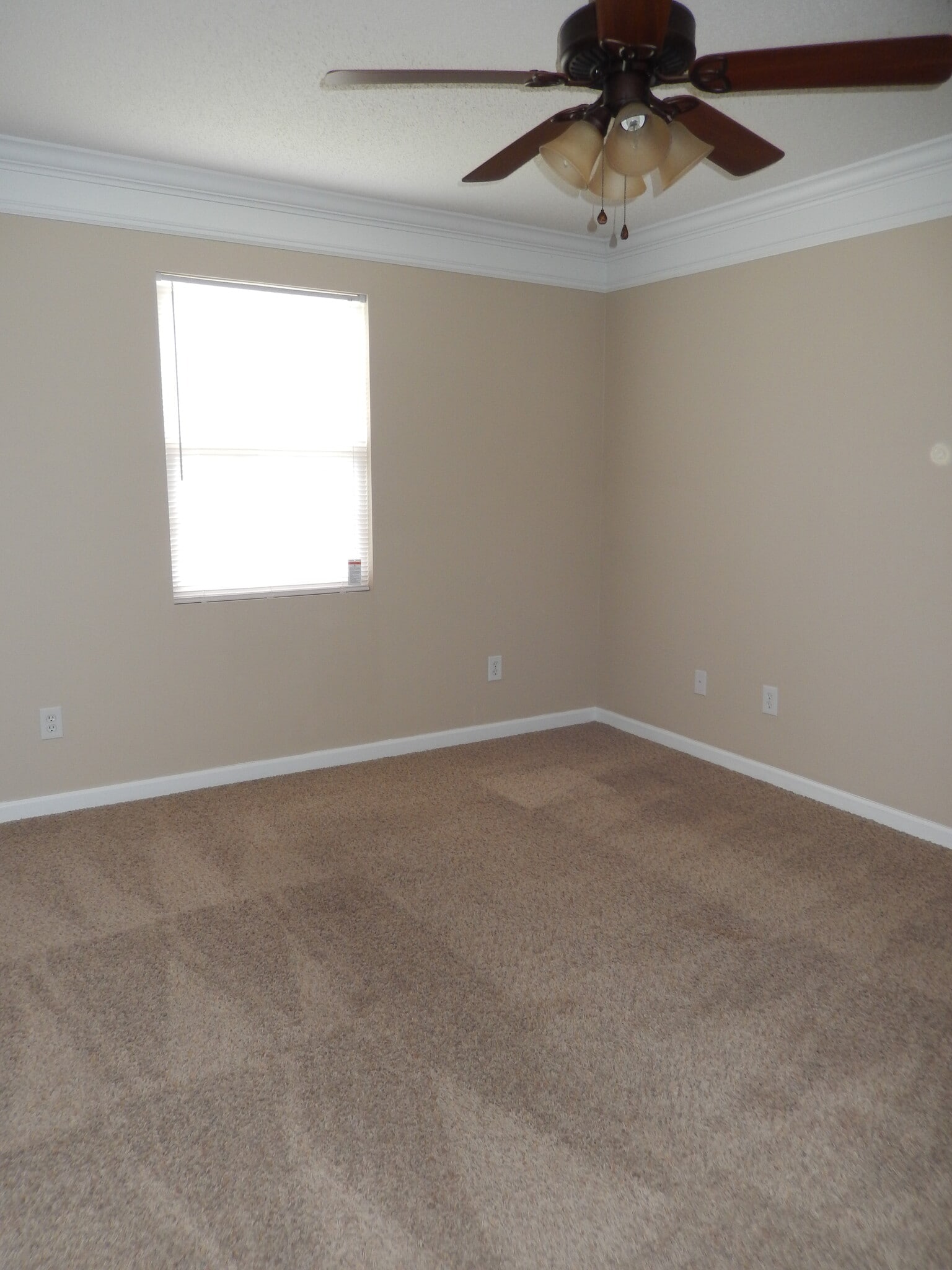 Large Bedroom - 2065 Pinemount Blvd
