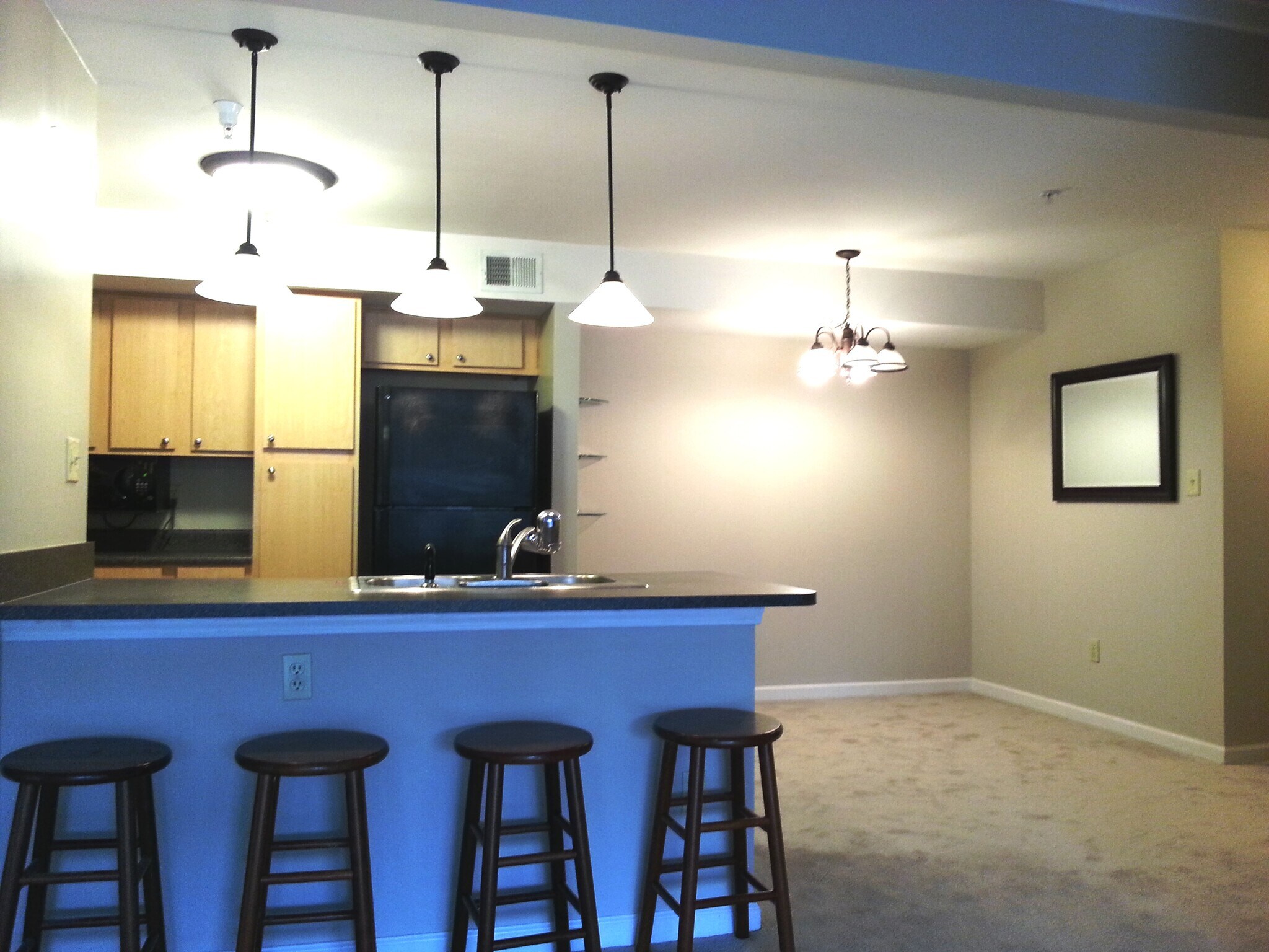 Kitchen - 704 Bristol Village Dr