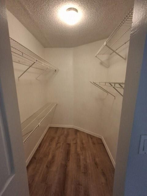 Building Photo - 801 Lyons Rd