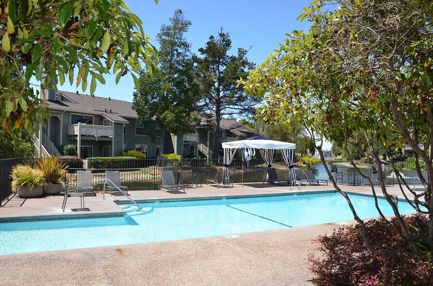 Pool - 8 Shoreline Ct