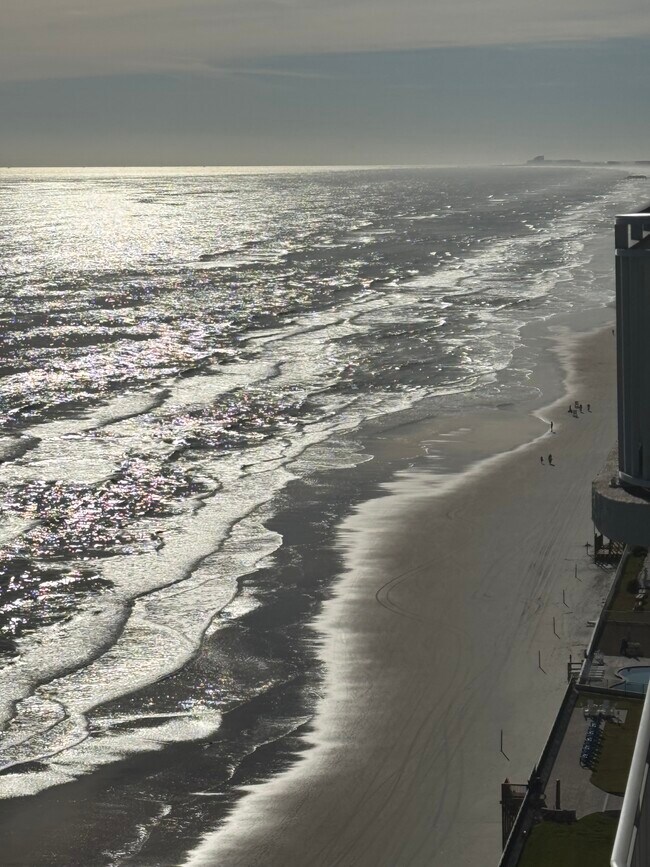 Building Photo - 1 month Min - VACATION RENTAL - SNOW BIRDS - Rental in Daytona Beach Shores