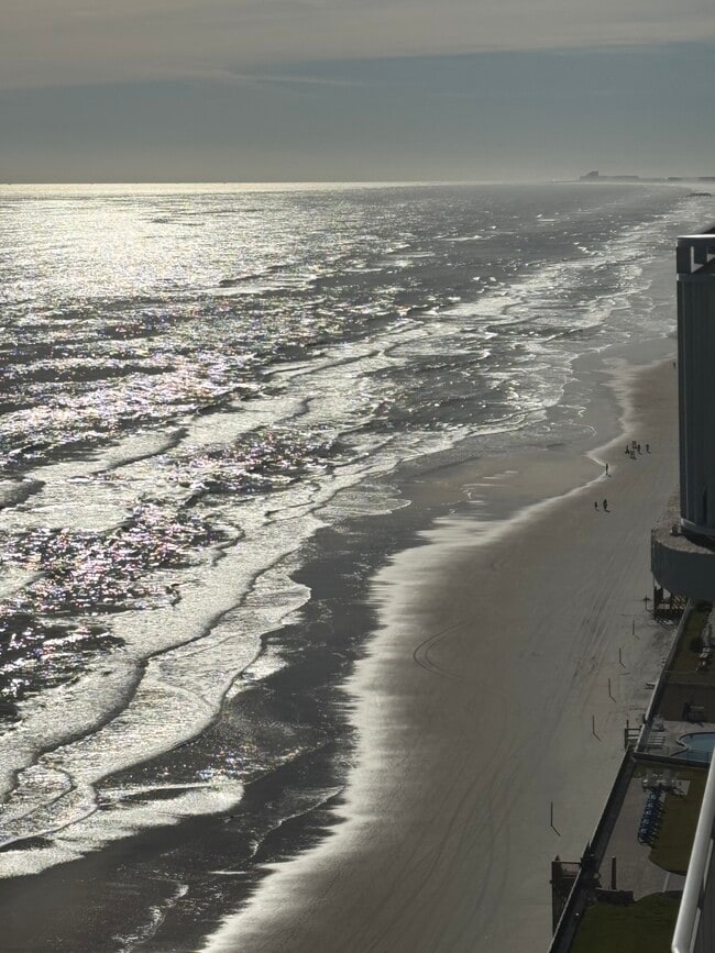 Building Photo - VACATION RENTAL - SNOW BIRDS - Monthy rent...