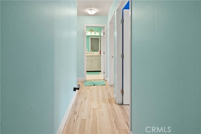 Building Photo - 28023 Ridgebrook Ct