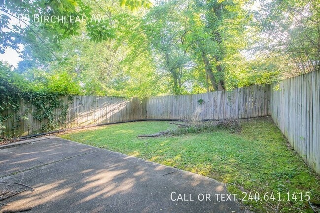 Building Photo - 609 Birchleaf Ave