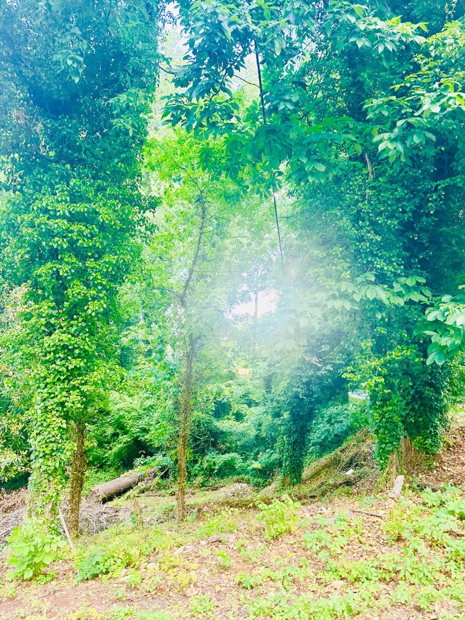 Building Photo - 1 Christopher St