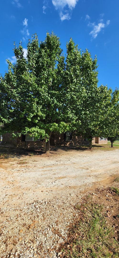 Building Photo - 2262 FM2864