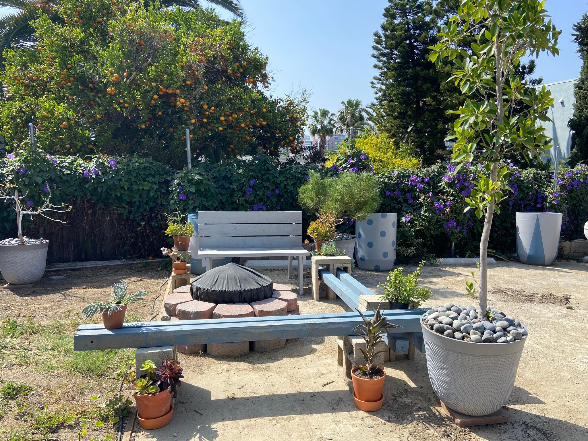 Building Photo - 1043 Sanborn Ave