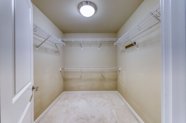 Building Photo - Gorgeous Large Home