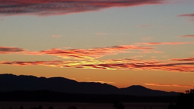 Building Photo - 8261 Northrop Plz SW