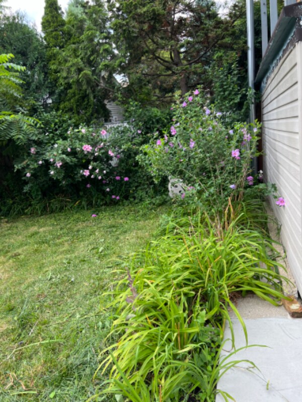 Building Photo - 1008 N Mozart St