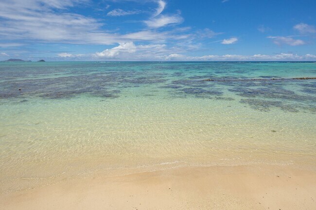 Building Photo - Casual Beach Front 3 Bedroom, 2 Bath Home ...