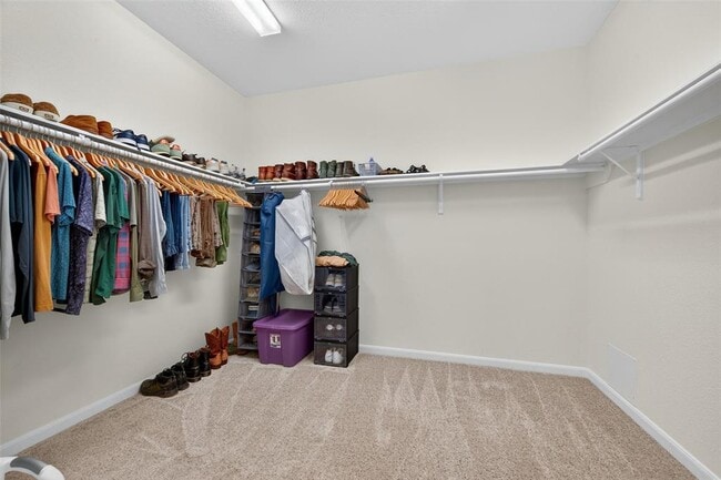Building Photo - 12610 Northwood Colony Trl