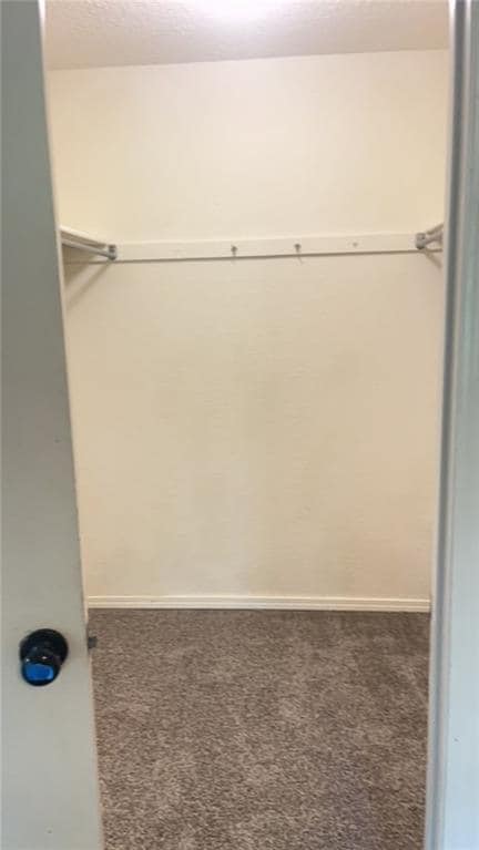 Building Photo - 10 Evans Ln