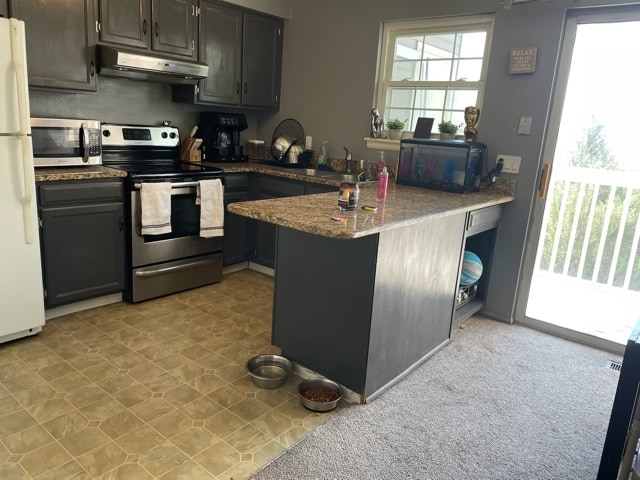 Shared kitchen - 1953 Giltshire Dr