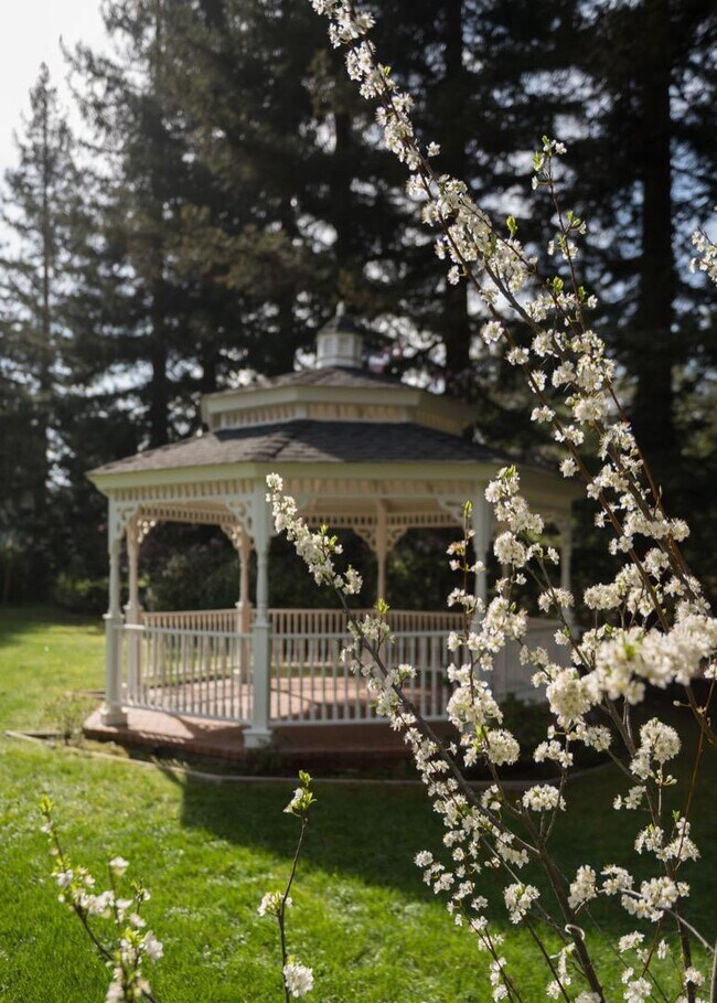 Building Photo - 10 Meadow Ln