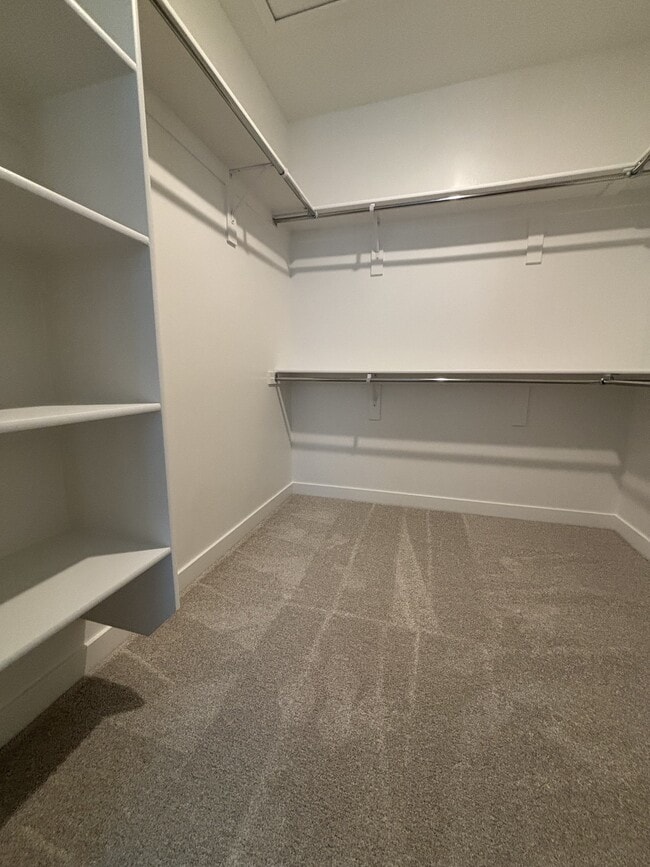 Building Photo - 10078 Loblobby Ln