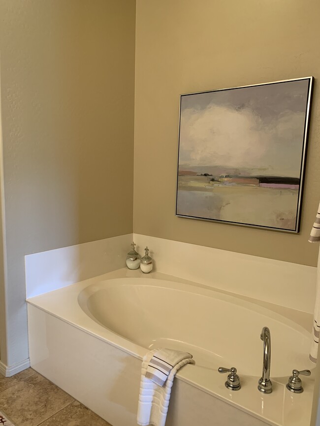 Master bathroom sitting bathtub - 19475 N Grayhawk Dr