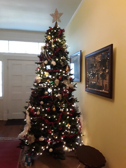 Decorated for Christmas - 117 S Church St