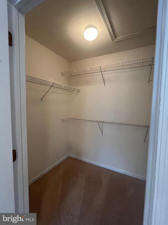 Building Photo - 233 Birchwood Dr