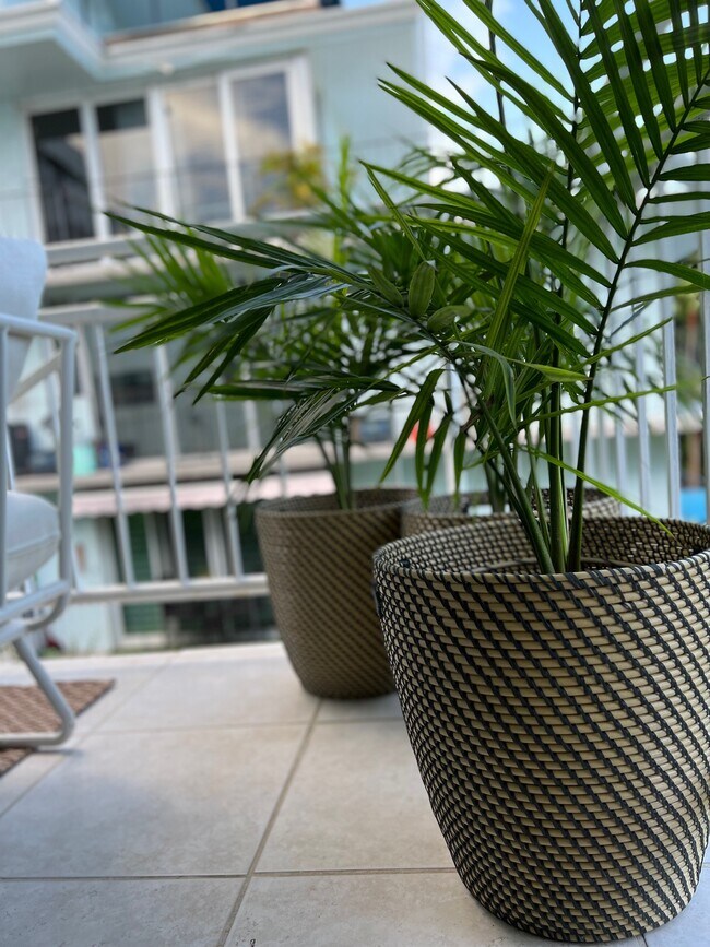 Balcony - 2545 S Bayshore Dr