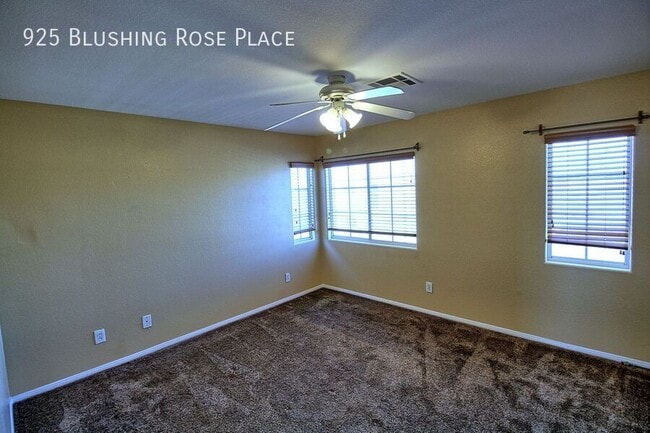 Building Photo - 925 Blushing Rose Pl