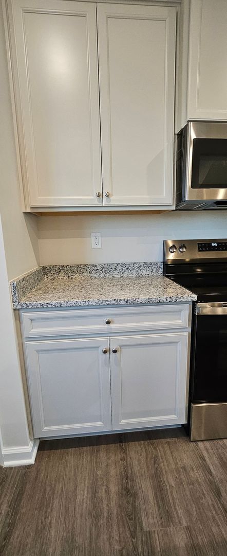 Building Photo - Brand new 3BR Townhome in Charlotte