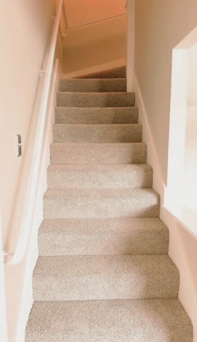 Building Photo - 1061 Mohr Ln