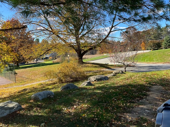 Building Photo - 15 Windsor Ct