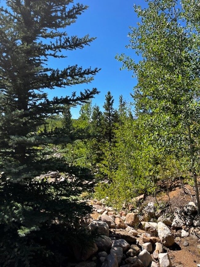 Building Photo - 55 Salt Lick Pl