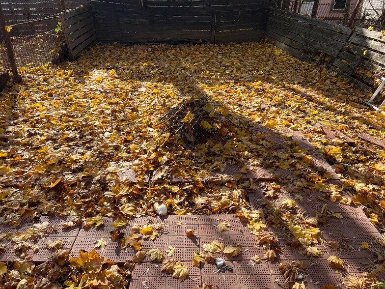 Building Photo - 520 Madison Ave