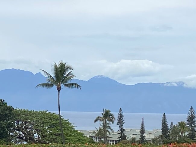 Primary Photo - 50 Puu Anoano St