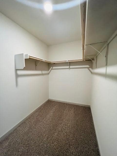 Building Photo - 803 Pease River Wy