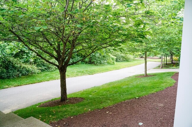 Building Photo - 8501 Burnham Ln