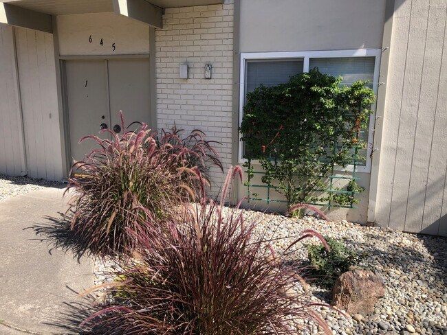 Outside of 5 unit Building - 645 Middle Rd