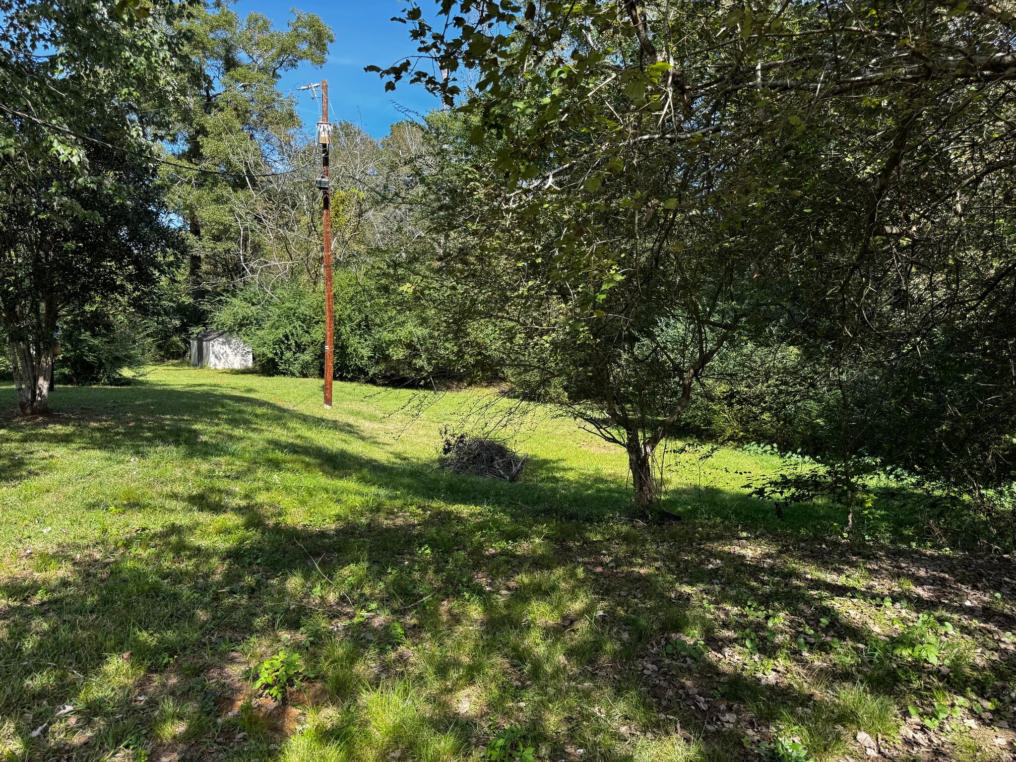 Building Photo - 117 Steed Rd