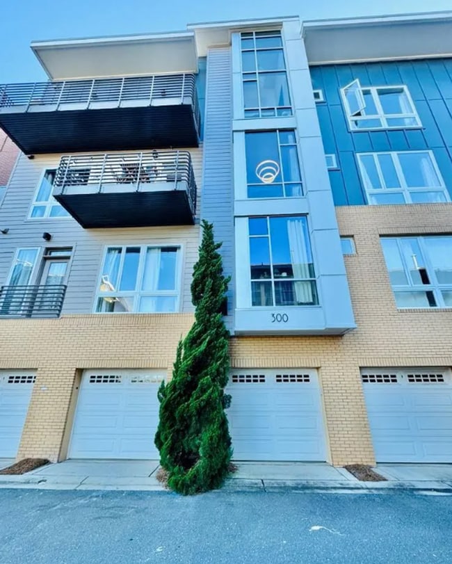 Primary Photo - Beautiful Condo In Dilworth!