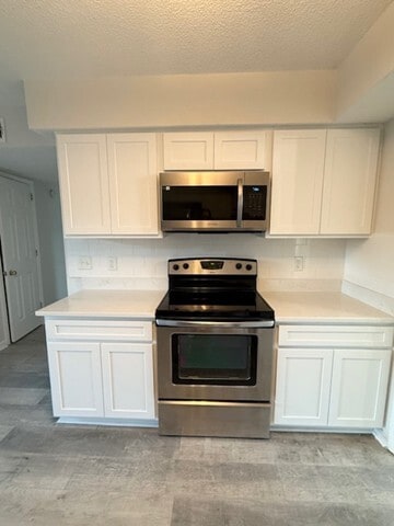 Remodeled kitchen - 346 N Birchwood Dr