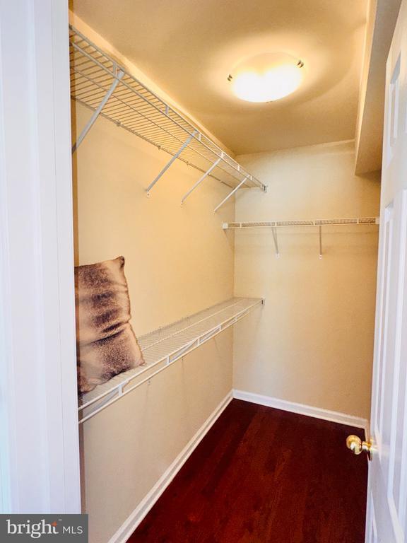 Building Photo - 42 Fuzzy Tail Dr