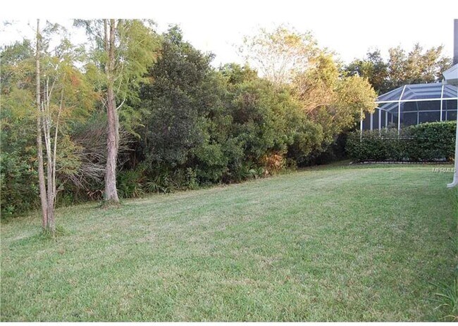 Building Photo - 4 bed, 2 Bath New Tampa Home for Lease!