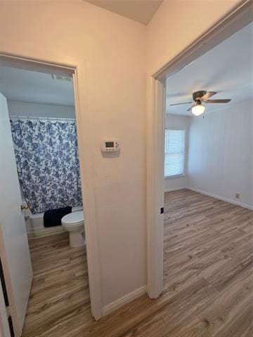 Building Photo - 308 Inez St