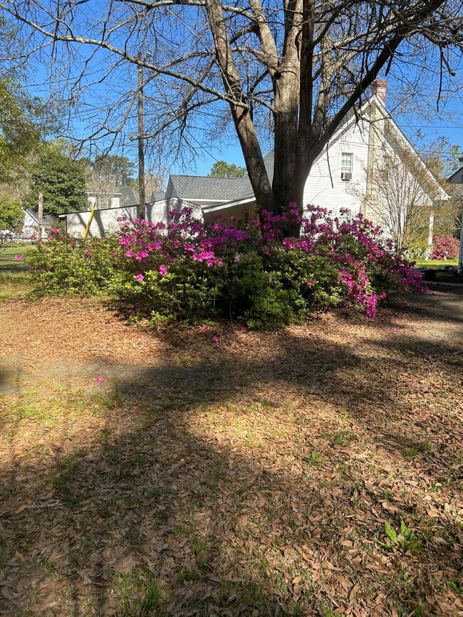 Building Photo - 2099 Oak St