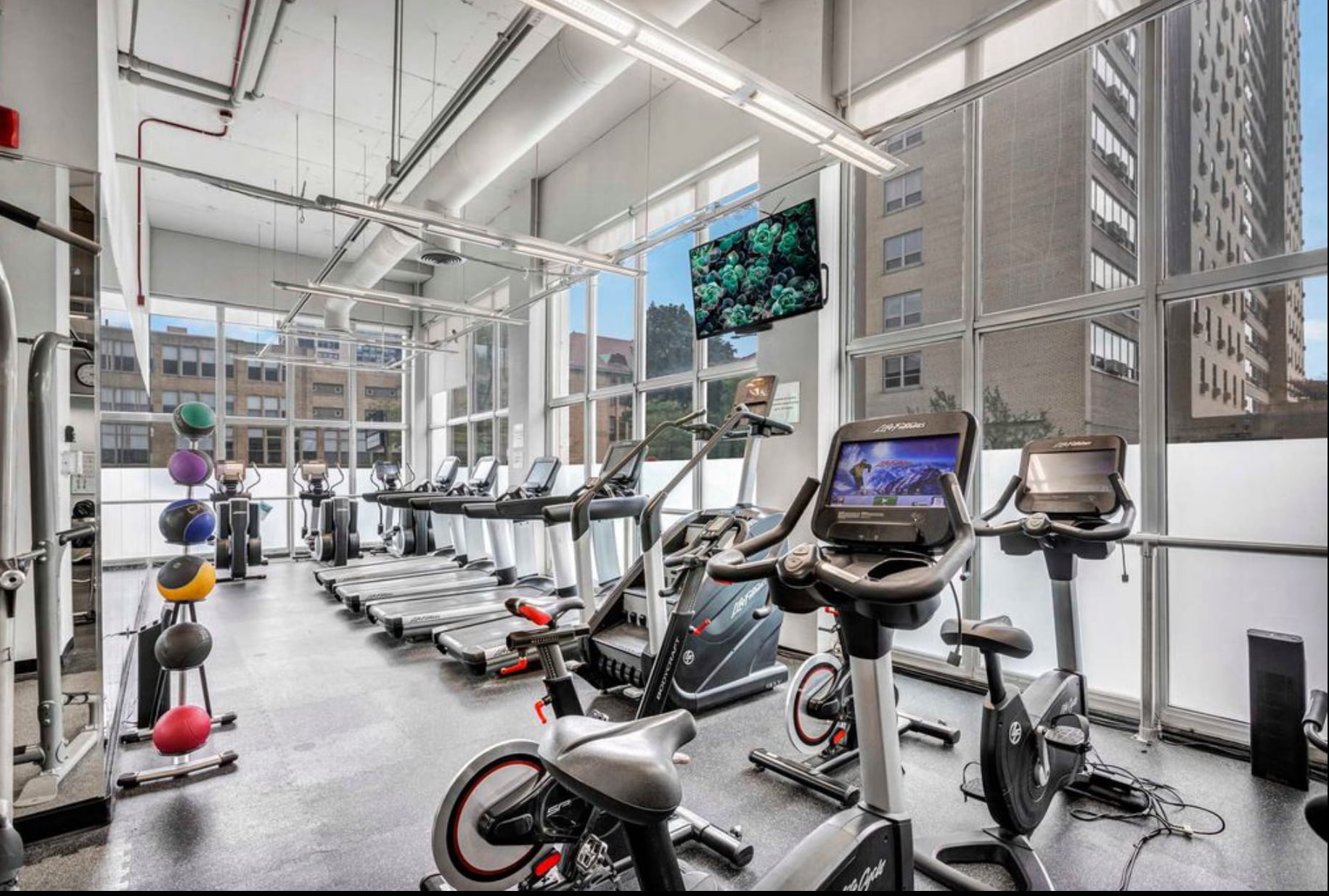 Fitness center - 655 W Irving Park Rd